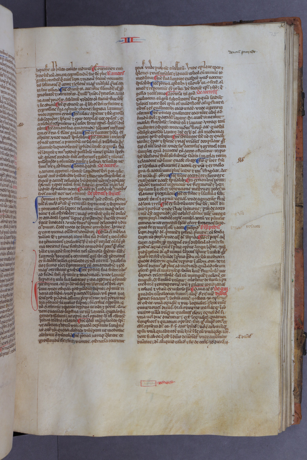 Folio 75 recto